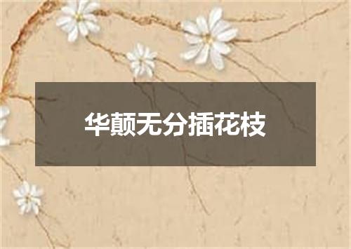 华颠无分插花枝