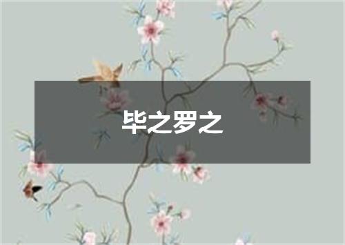 毕之罗之