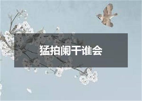 猛拍阑干谁会