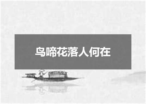鸟啼花落人何在