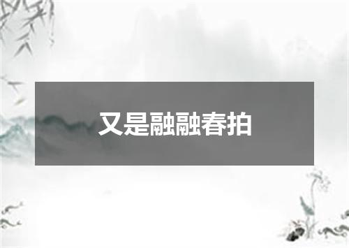 又是融融春拍
