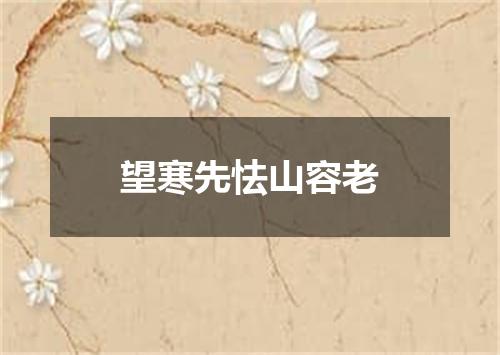 望寒先怯山容老
