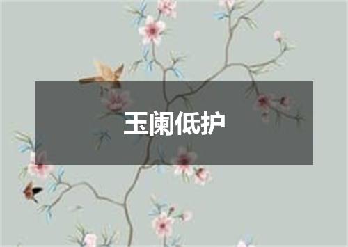 玉阑低护
