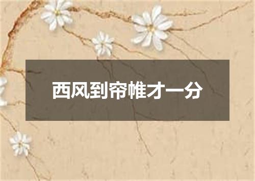 西风到帘帷才一分