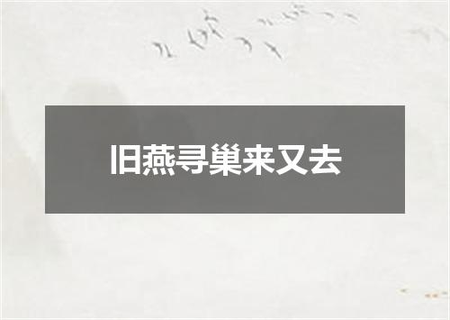 旧燕寻巢来又去