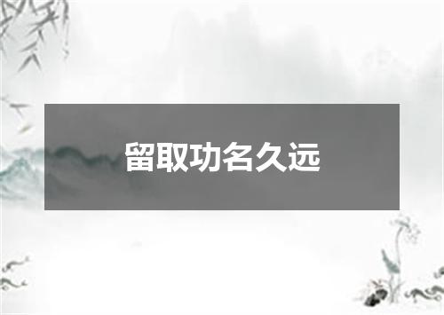 留取功名久远