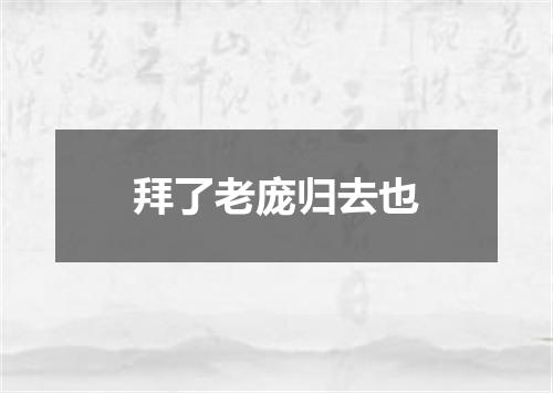 拜了老庞归去也