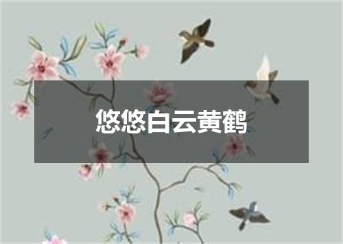 悠悠白云黄鹤