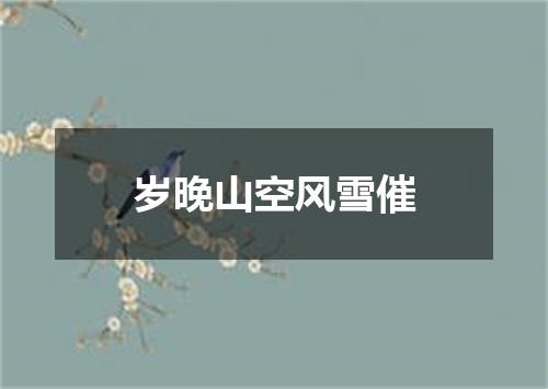 岁晚山空风雪催