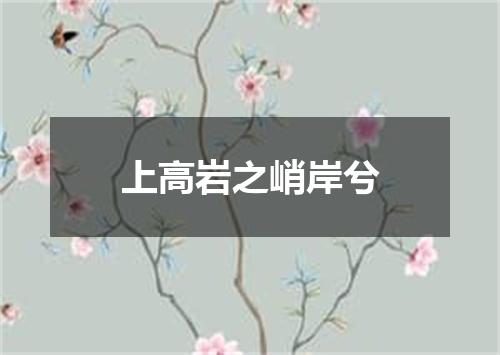 上高岩之峭岸兮