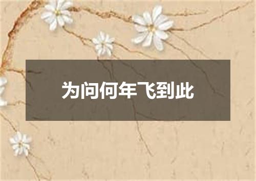 为问何年飞到此