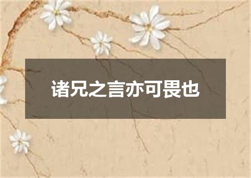 诸兄之言亦可畏也