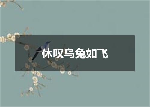 休叹乌兔如飞