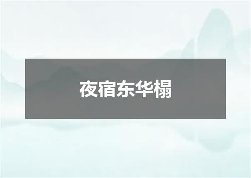 夜宿东华榻