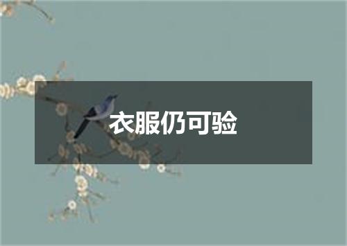 衣服仍可验