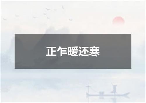 正乍暖还寒
