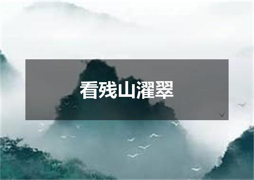 看残山濯翠