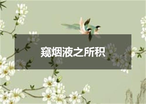 窥烟液之所积