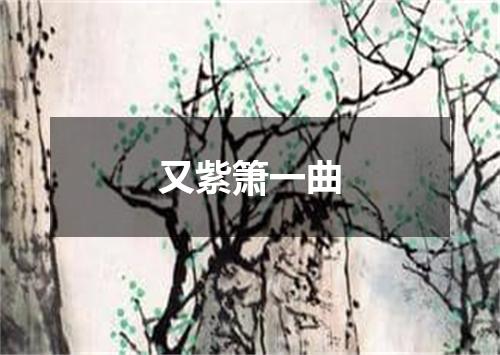又紫箫一曲