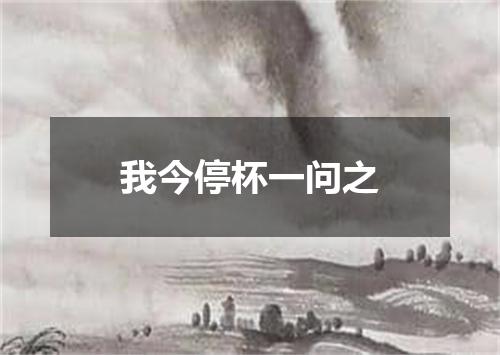 我今停杯一问之