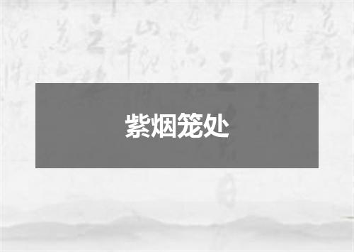 紫烟笼处