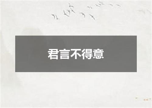 君言不得意