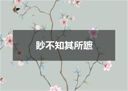 眇不知其所蹠