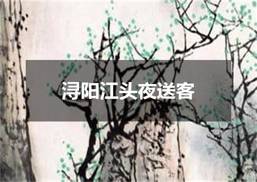 浔阳江头夜送客