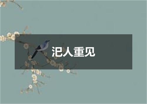 汜人重见