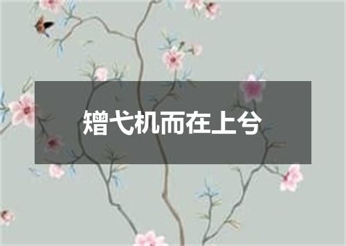矰弋机而在上兮