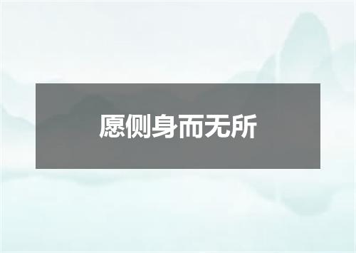 愿侧身而无所
