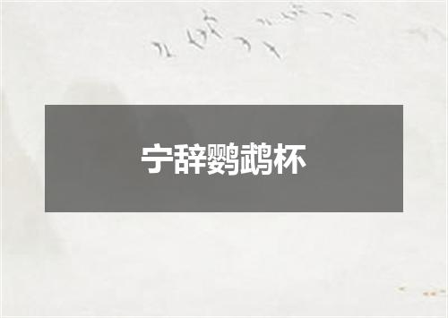宁辞鹦鹉杯