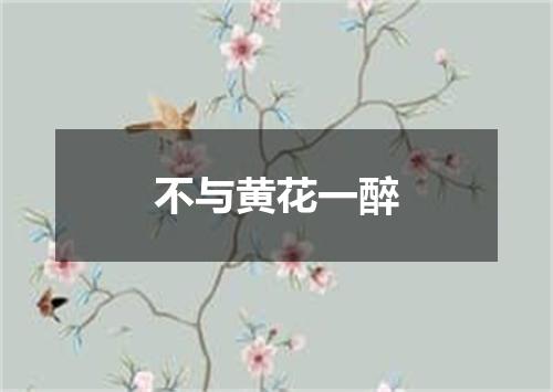 不与黄花一醉