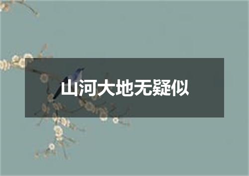 山河大地无疑似