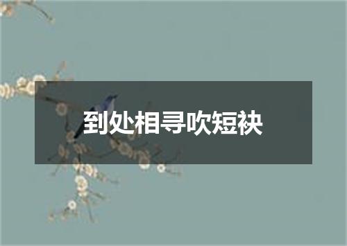 到处相寻吹短袂