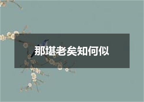 那堪老矣知何似