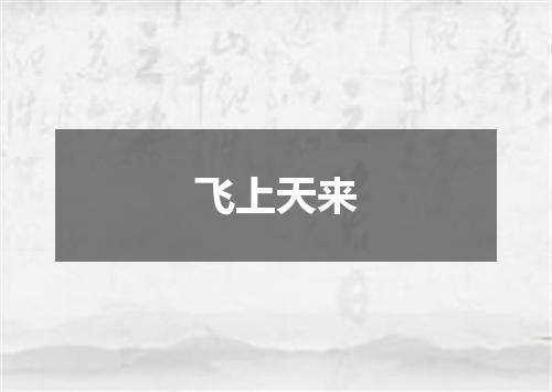 飞上天来