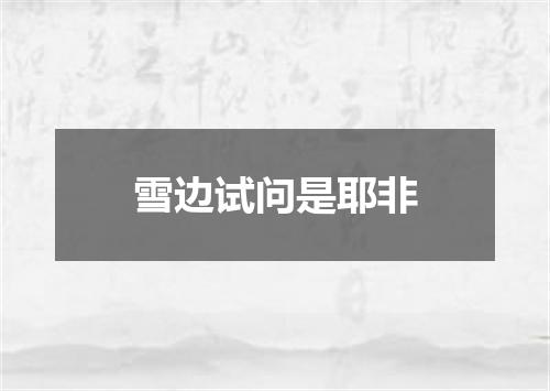 雪边试问是耶非