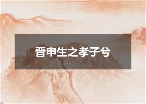 晋申生之孝子兮