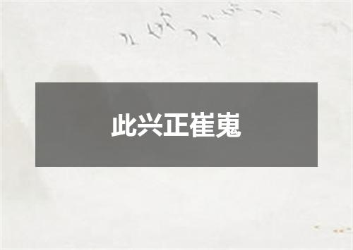 此兴正崔嵬