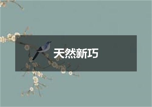 天然新巧