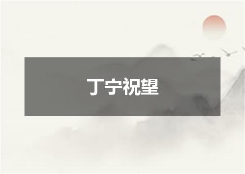 丁宁祝望