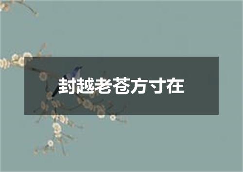 封越老苍方寸在