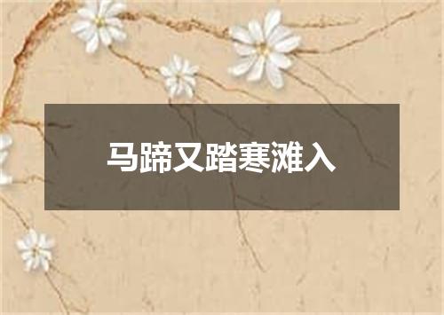 马蹄又踏寒滩入