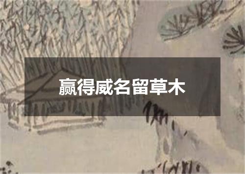 赢得威名留草木