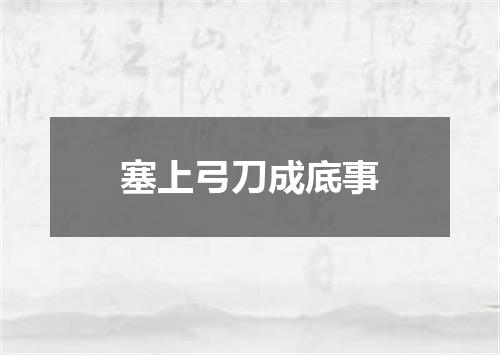 塞上弓刀成底事