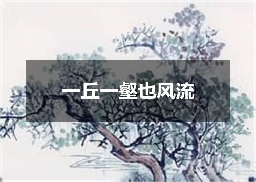 一丘一壑也风流