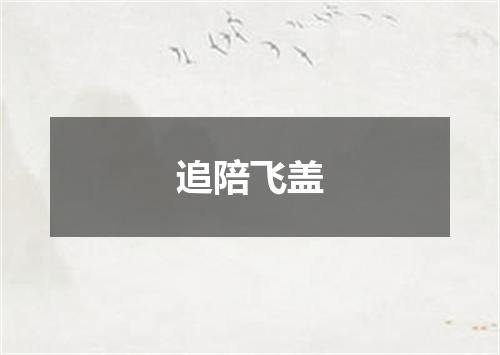追陪飞盖