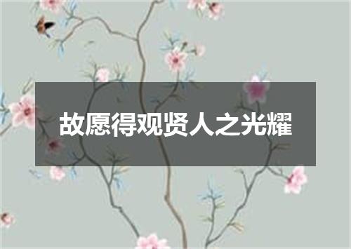 故愿得观贤人之光耀