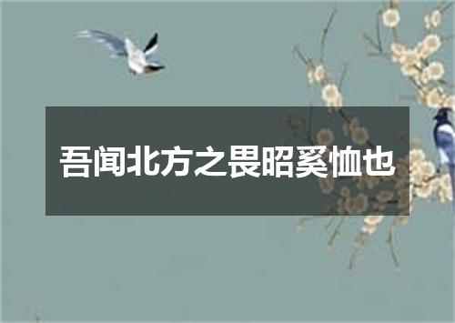吾闻北方之畏昭奚恤也